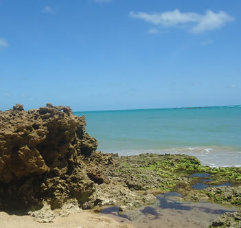 Orla Praia do Amor Orla Praia do Amor