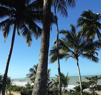 Orla de Coqueirinho Orla de Coqueirinho