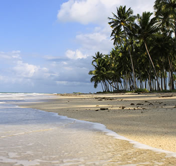 Orla do Seixas Orla do Seixas
