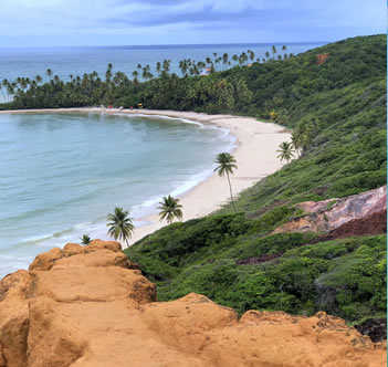 Praia de Coqueirinho Praia de Coqueirinho