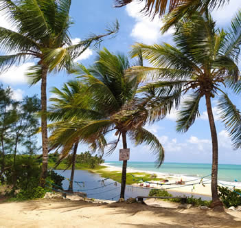 Praia de Tabatinga Praia de Tabatinga